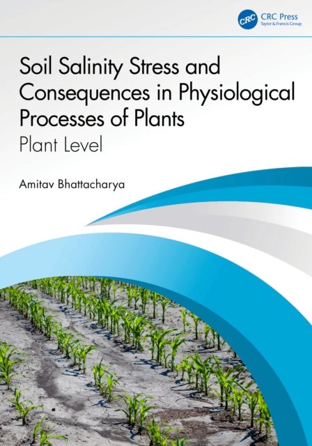 Soil Salinity Stress and Consequences in Physiological Processes of Plants - Plant Level