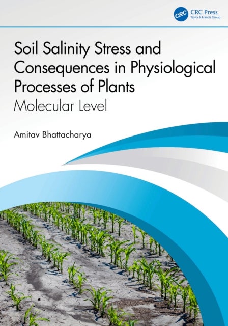 Soil Salinity Stress and Consequences in Physiological Processes of Plants - Molecular Level