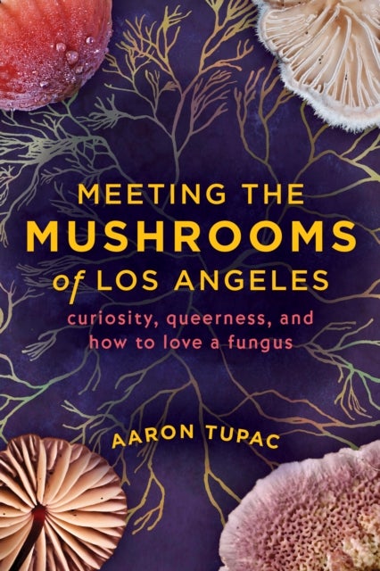 Meeting the Mushrooms of Los Angeles - Curiosity, Queerness, and How to Love a Fungus