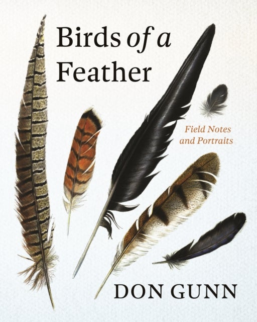 Birds of a Feather - Field Notes and Portraits