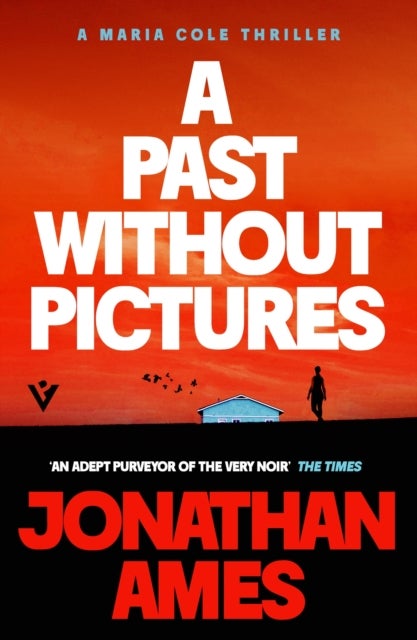 A Past Without Pictures - A Maria Cole Thriller