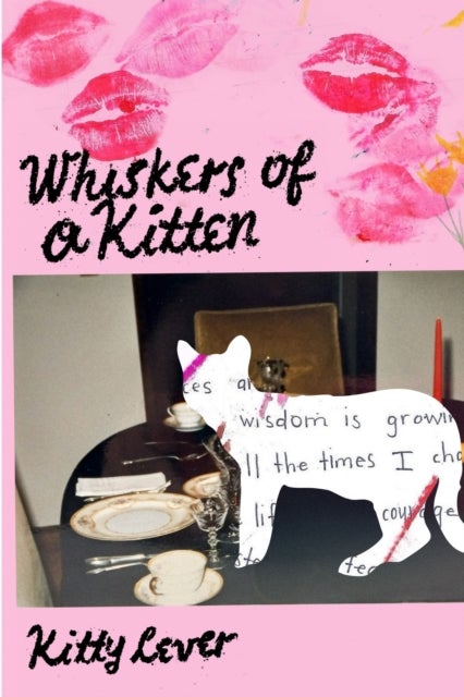 Whiskers of a Kitten