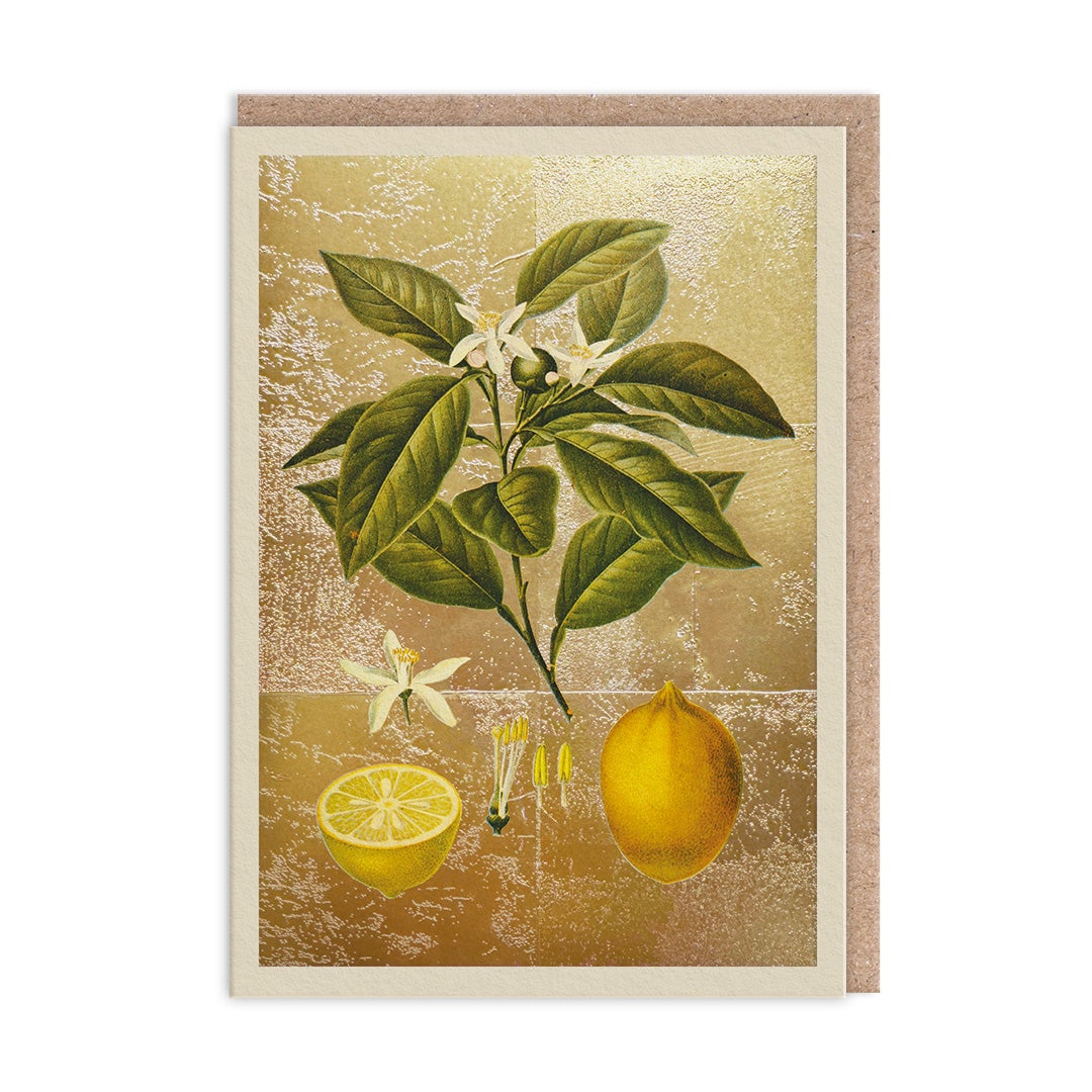 Kort Lemons The natural world