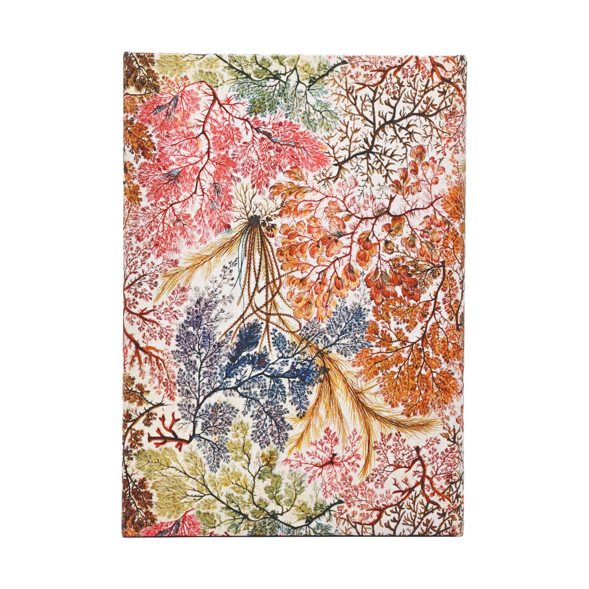 Kalender 2027 Paperblanks 12M Midi Anemone
