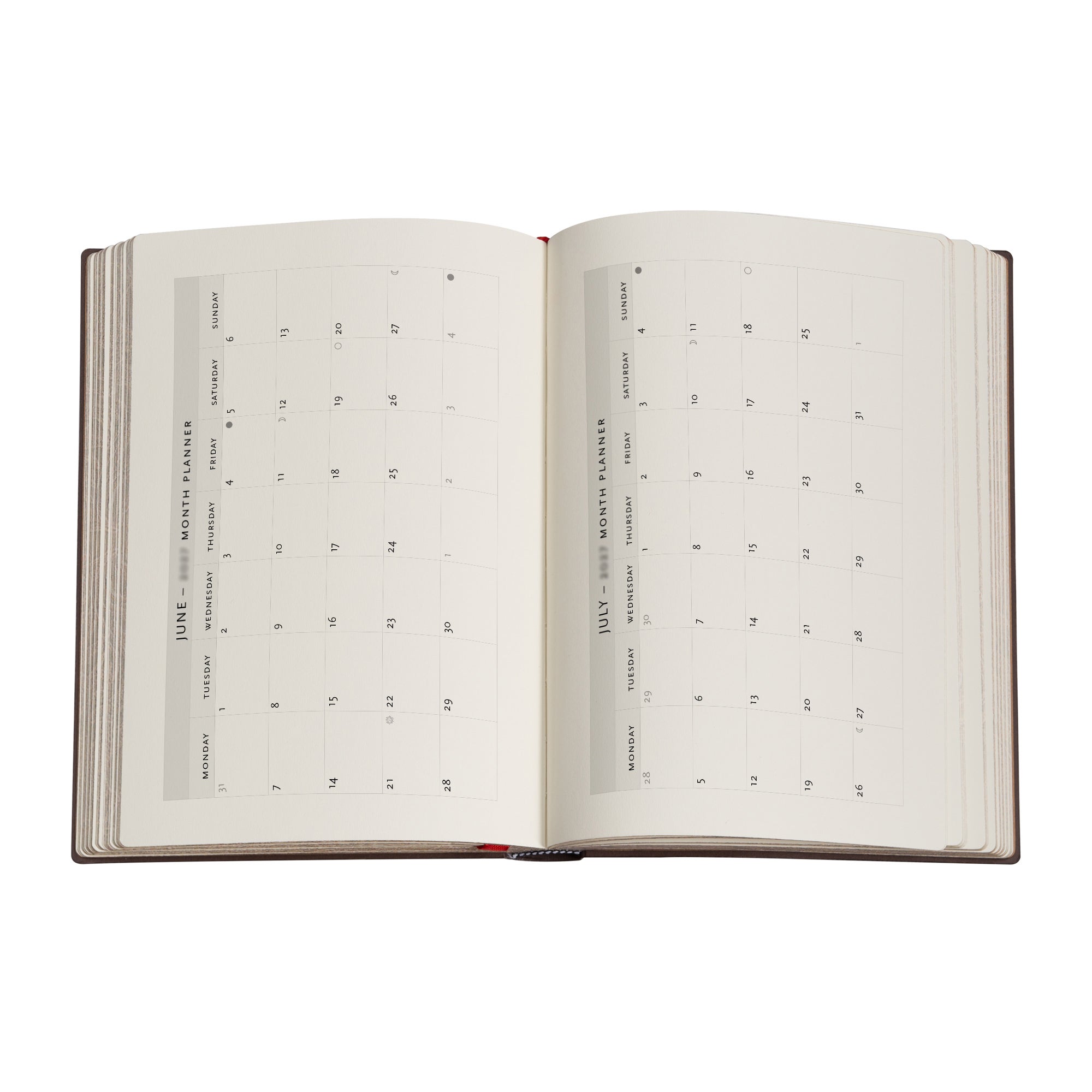 Kalender 2027 Paperblanks 12M Midi Lynx Raising