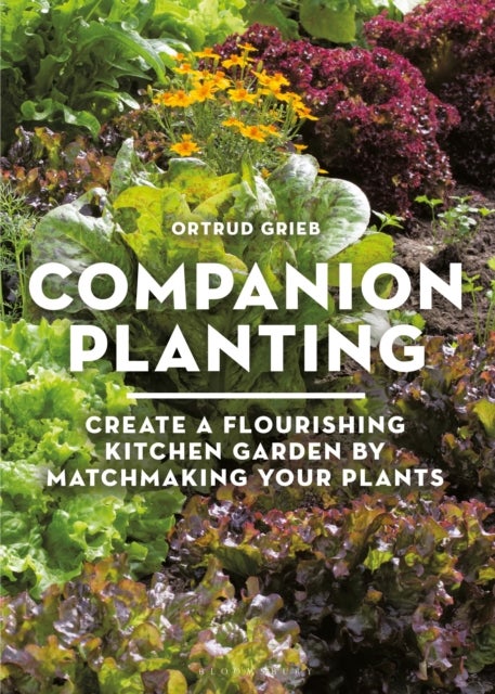 Companion Planting - Create a Flourishing Kitchen Garden By Matchmaking Your Plants