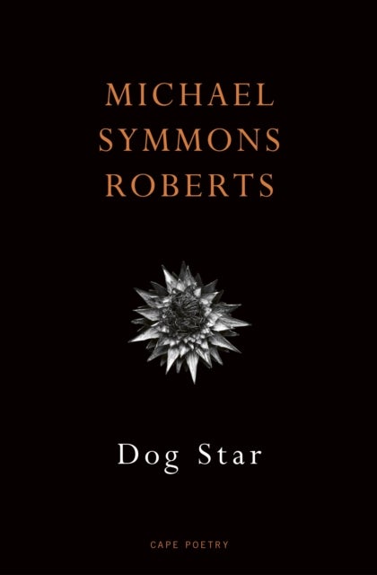 Dog Star