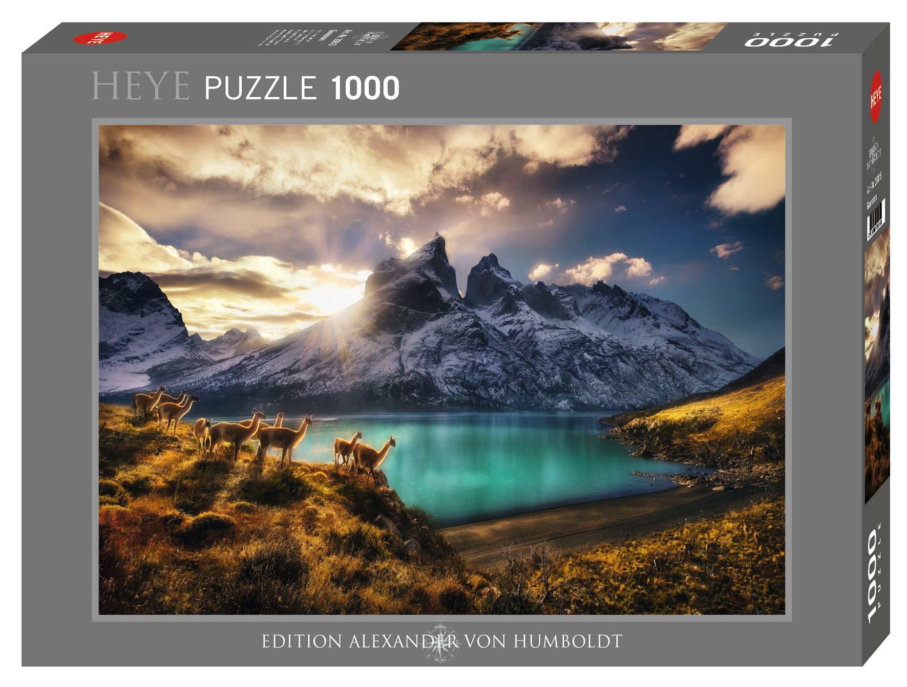 Puslespill 1000 Guanacos Heye