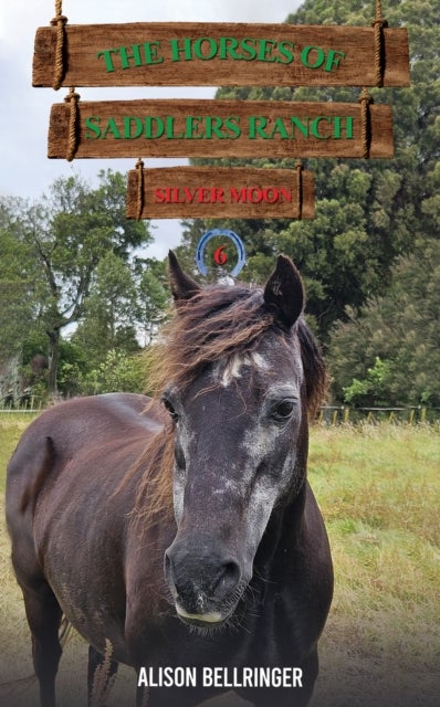 The Horses of Saddlers Ranch: Silver Moon - Book Six
