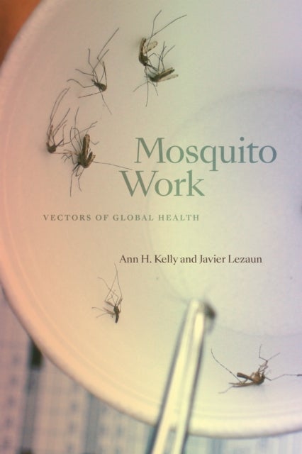 Mosquito Work - Vectors of Global Health