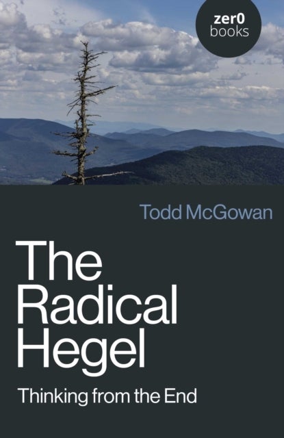 The Radical Hegel av Todd McGowan