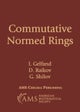 Commutative Normed Rings