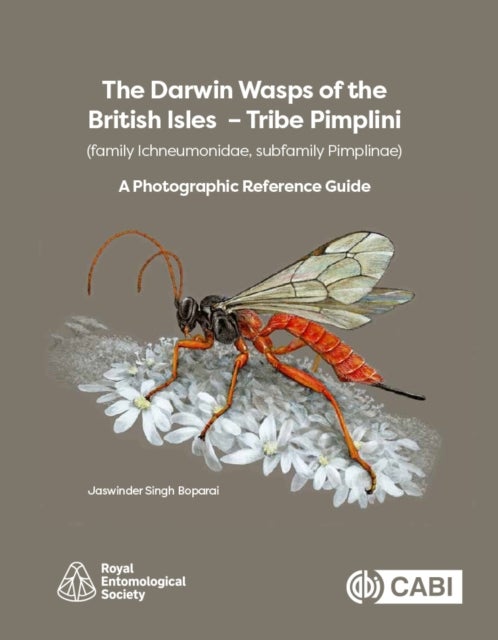 The Darwin Wasps of the British Isles – Tribe Pimplini (family Ichneumonidae, subfamily Pimplinae) - A Photographic Reference Guide