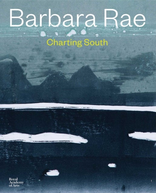 Barbara Rae - Charting South