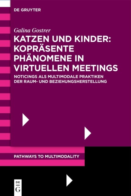 Katzen Und Kinder: Koprasente Phanomene in Virtuellen Meetings - Noticings ALS Multimodale Praktiken Der Raum- Und Beziehungsherstellung