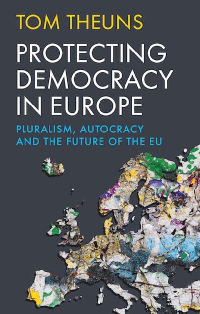 Protecting Democracy in Europe av Tom Theuns