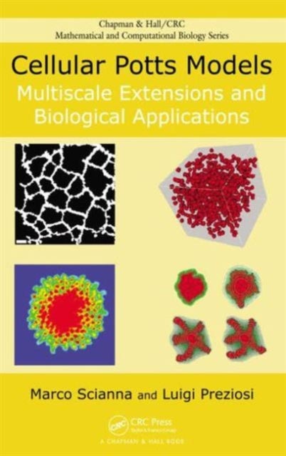 Cellular Potts Models - Multiscale Extensions and Biological Applications
