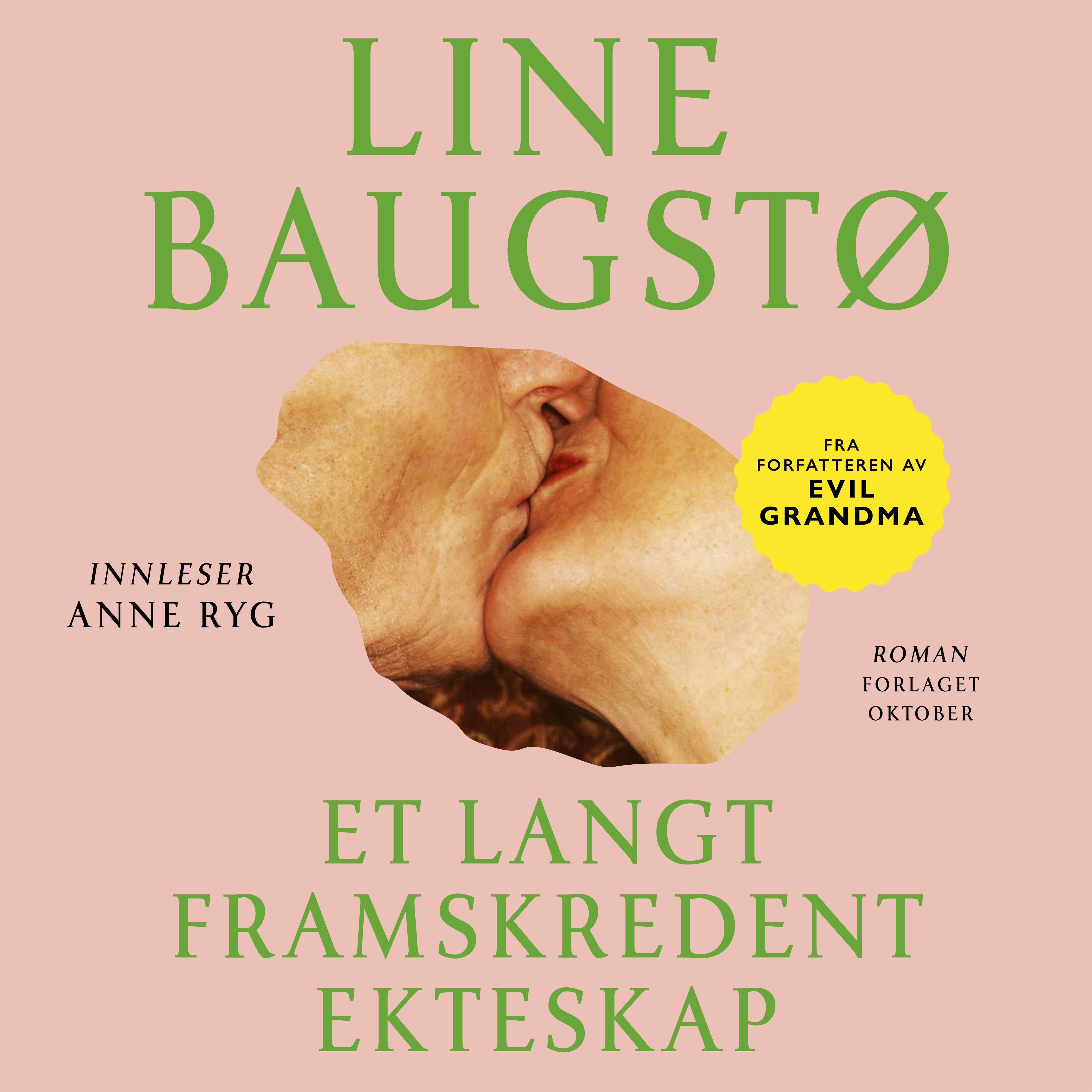Et langt framskredent ekteskap - roman