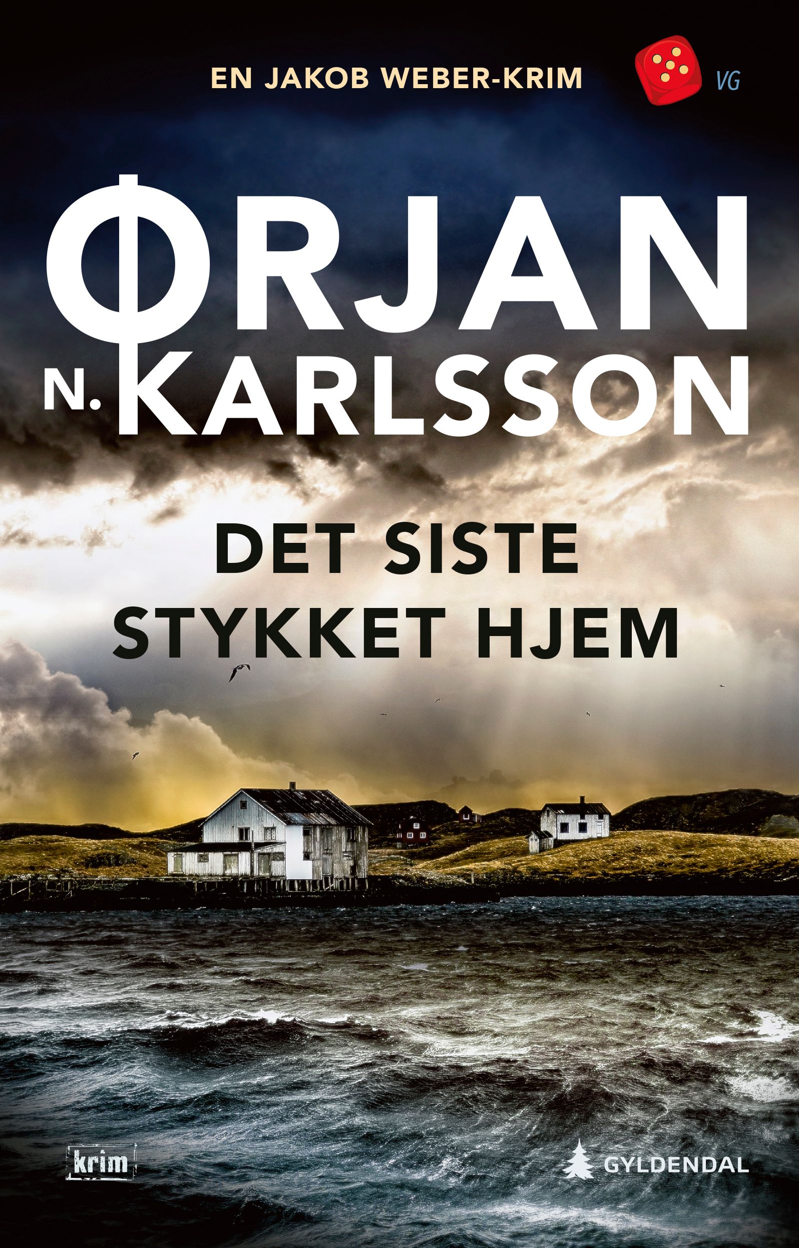 Det siste stykket hjem - kriminalroman