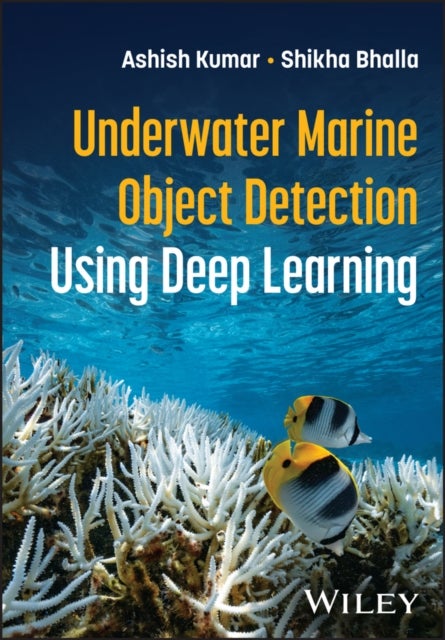 Intelligent Surveillance of Marine Objects using Deep Learning