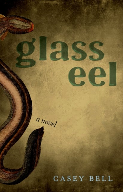 Glass Eel - A Novel