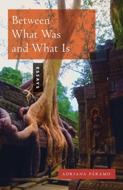 Between What Was and What Is - Essays