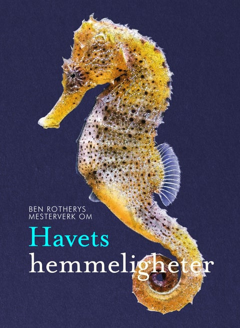 Havets hemmeligheter