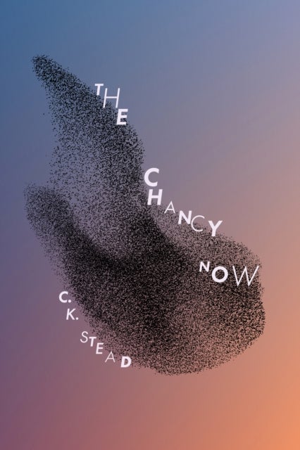 The Chancy Now - 120 Sonnets