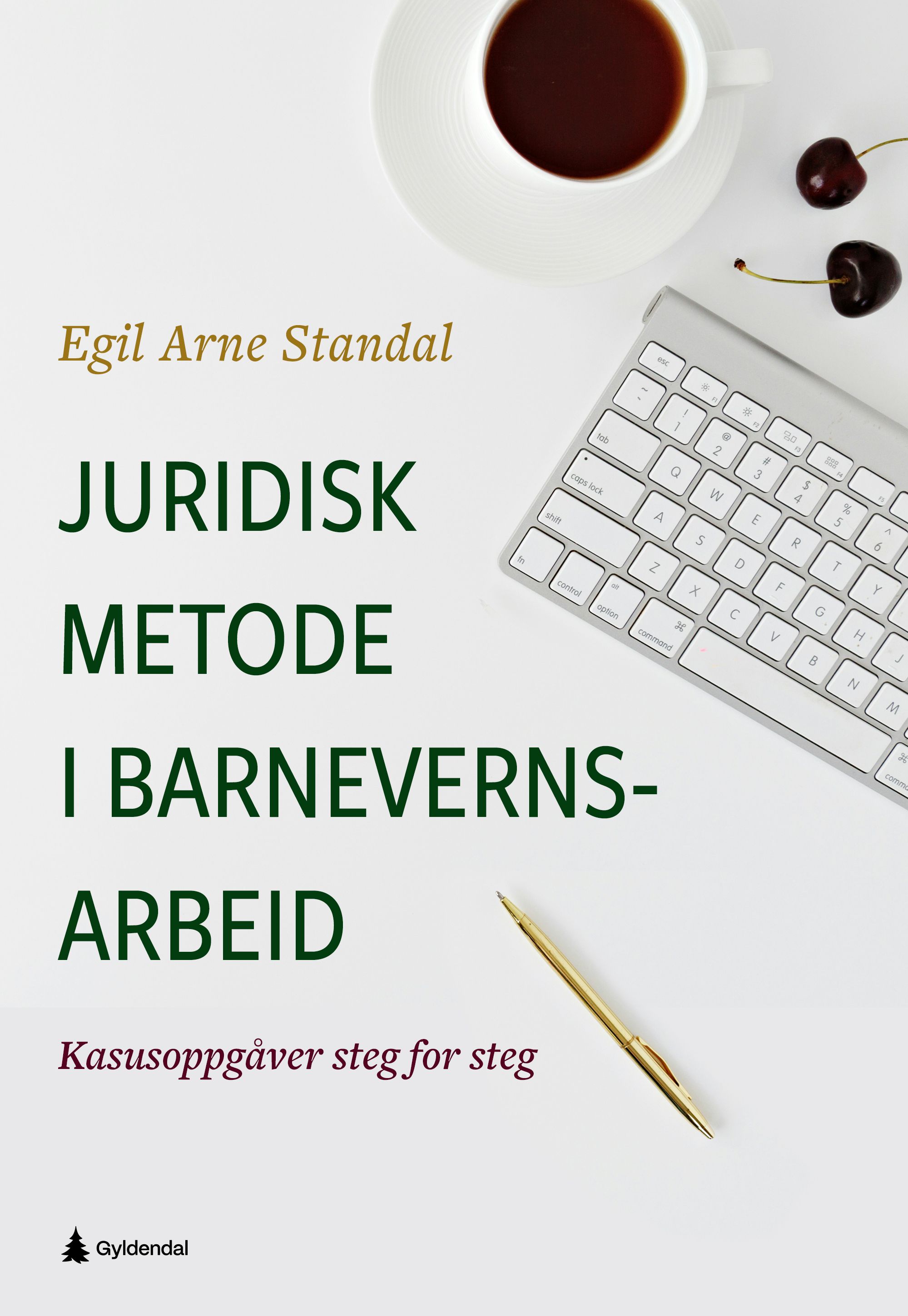 Juridisk metode i barnevernsarbeid - kasusoppgåver steg for steg