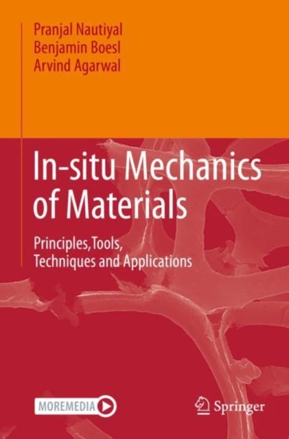 In-situ Mechanics of Materials - Principles,Tools, Techniques and Applications