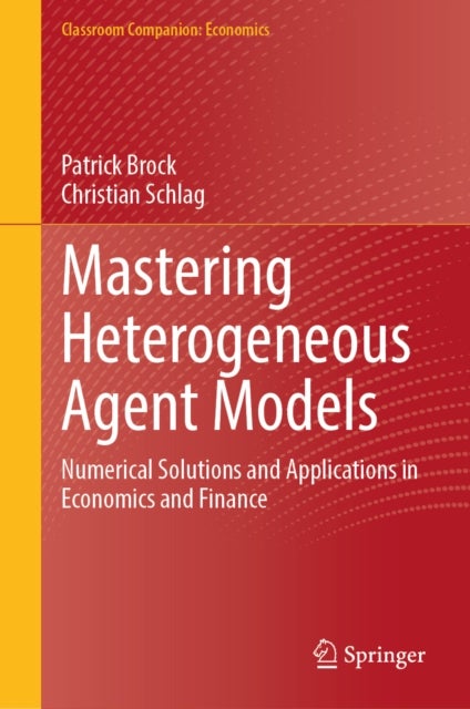 Mastering Heterogeneous Agent Models - Numerical Solutions and Applications in Economics and Finance