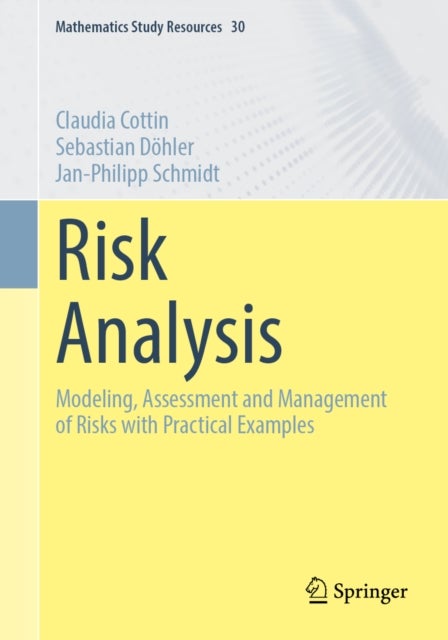Risk Analysis av Claudia Cottin, Sebastian Dohler, Jan-Philipp Schmidt