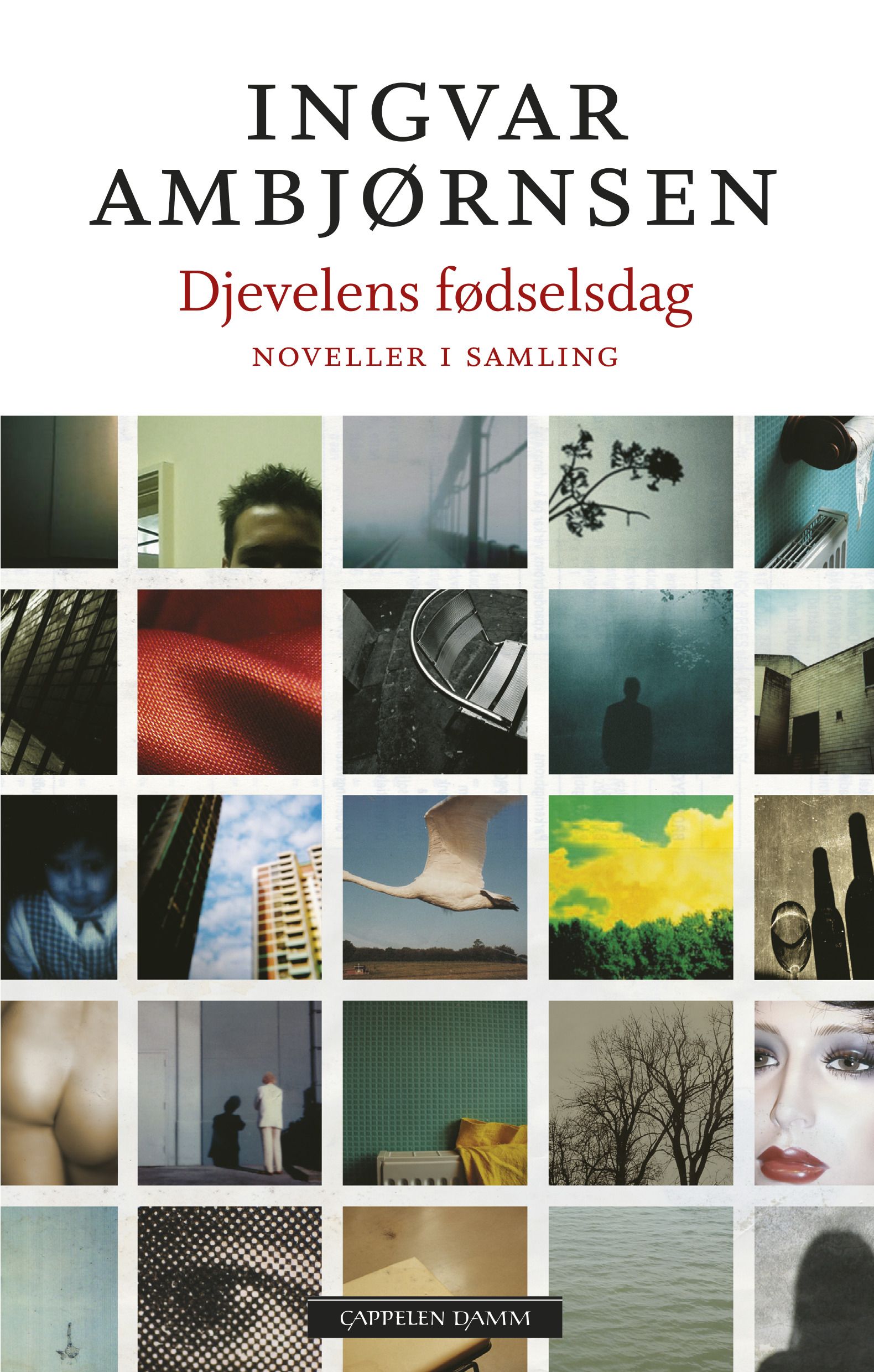 Djevelens fødselsdag - noveller i samling