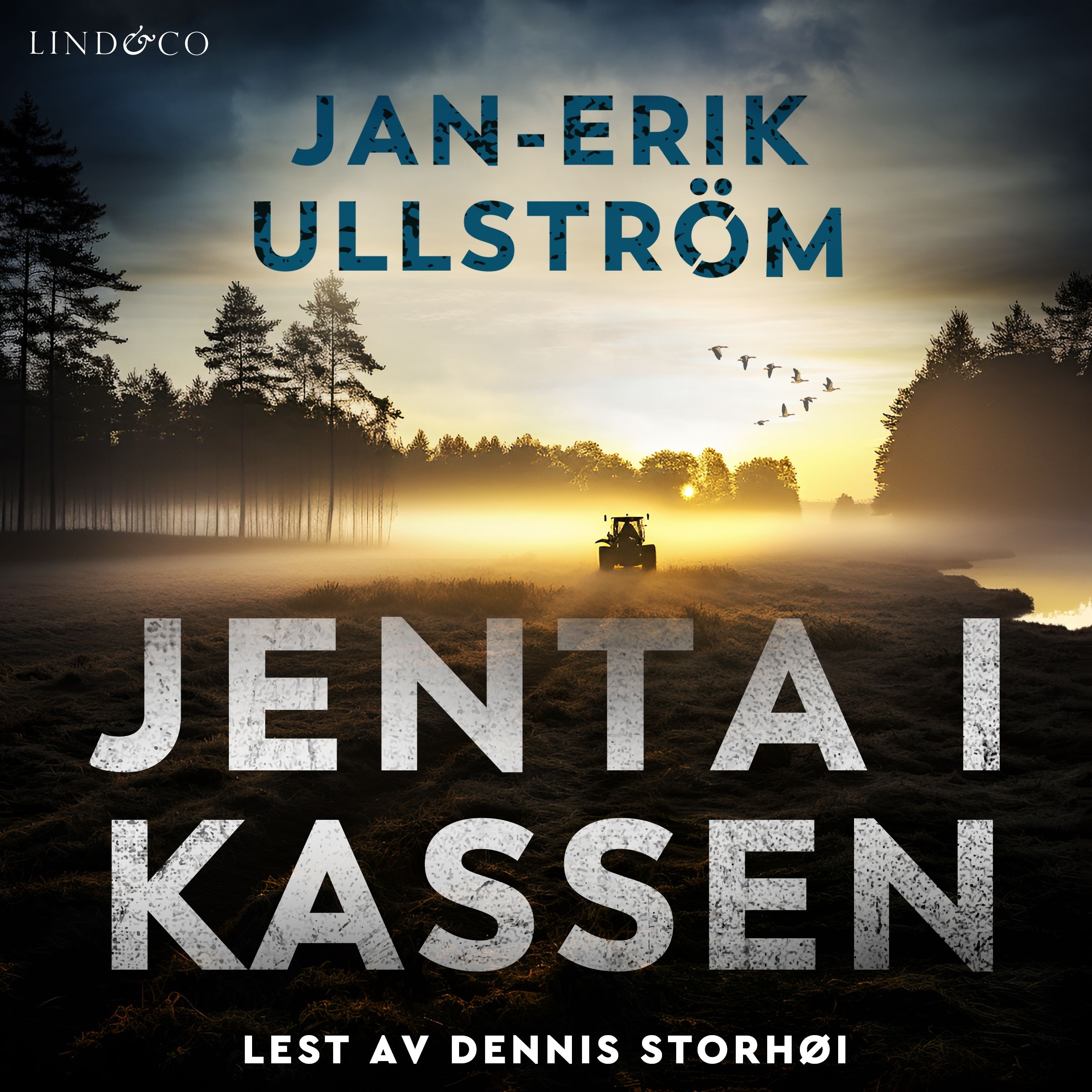 Jenta i kassen