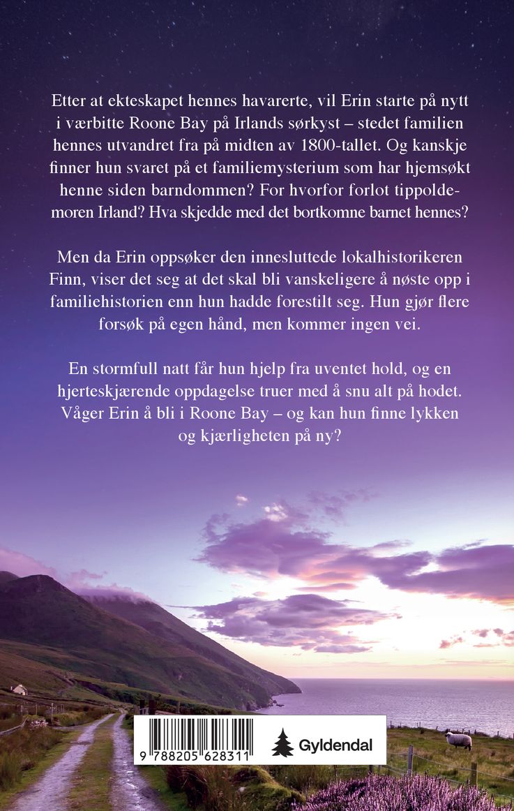 Det irske barnet