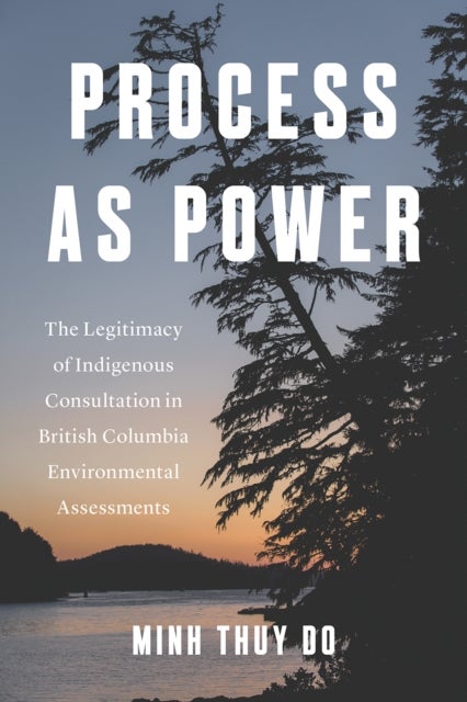 Process As Power - The Legitimacy of Indigenous Consultation in British Columbia Environmental Assessments