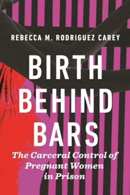 Birth Behind Bars - The Carceral Control of Pregnant Women in Prison
