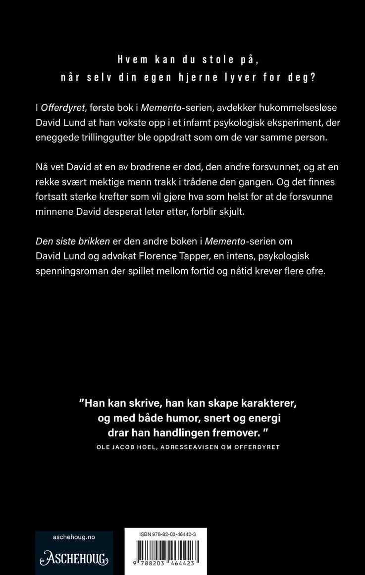 Den siste brikken