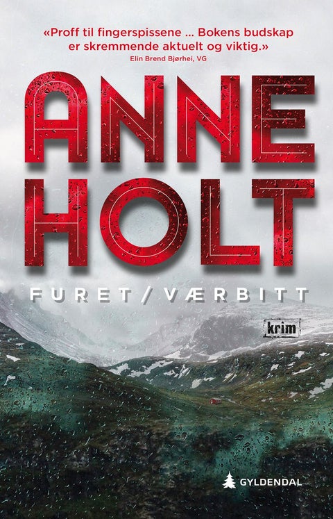 Furet/værbitt - Selma Falcks andre store sak : kriminalroman