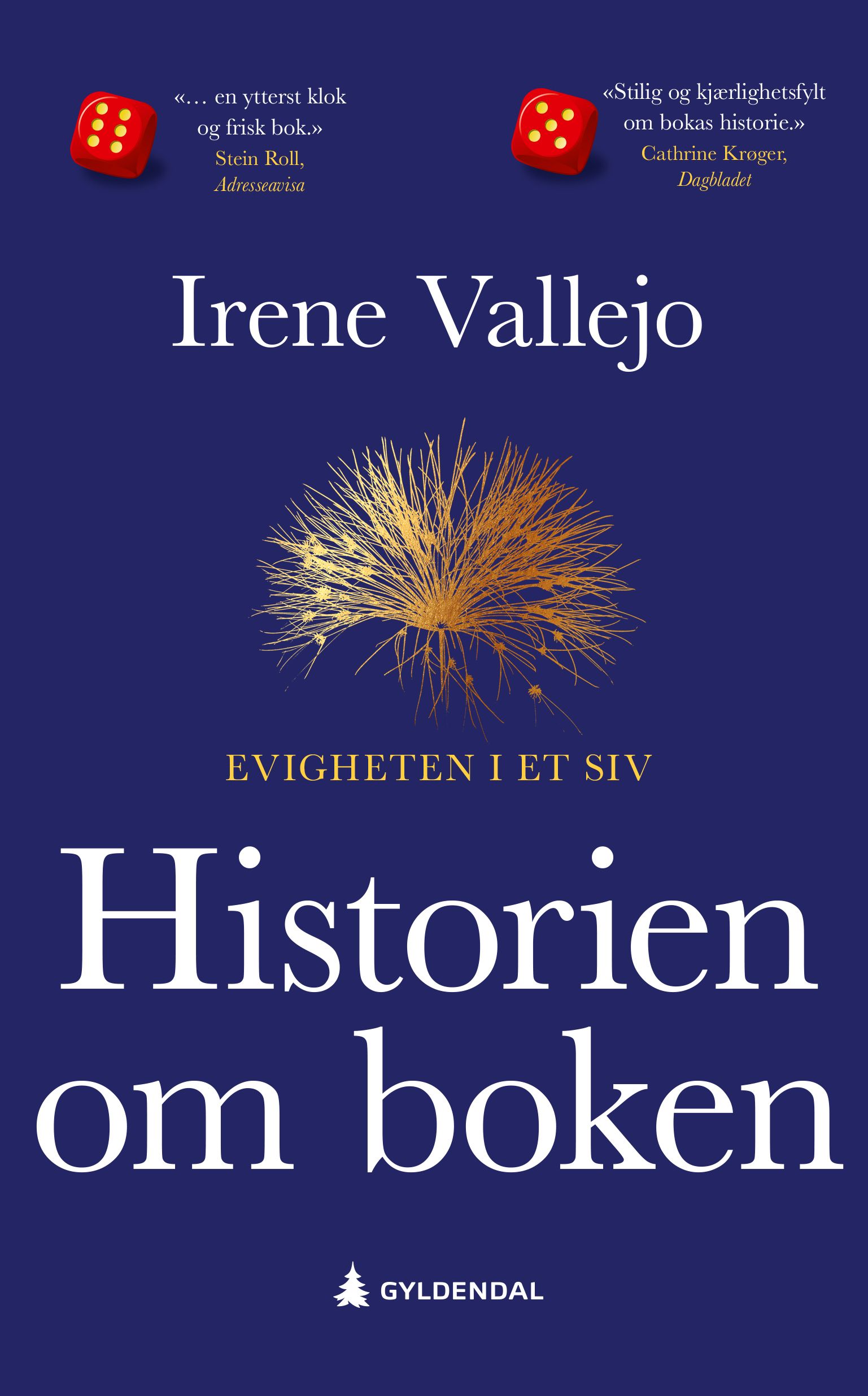 Historien om boken - evigheten i et siv