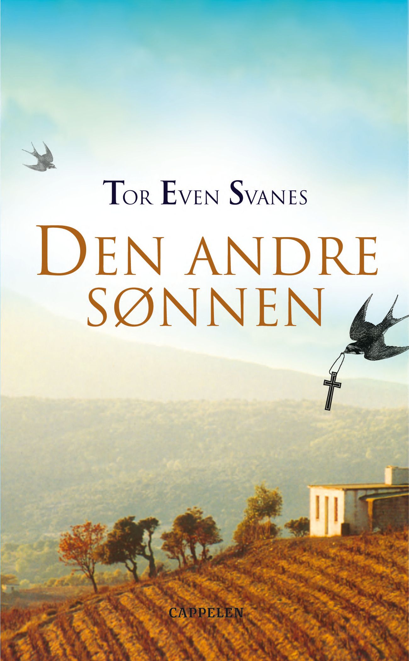 Den andre sønnen - roman