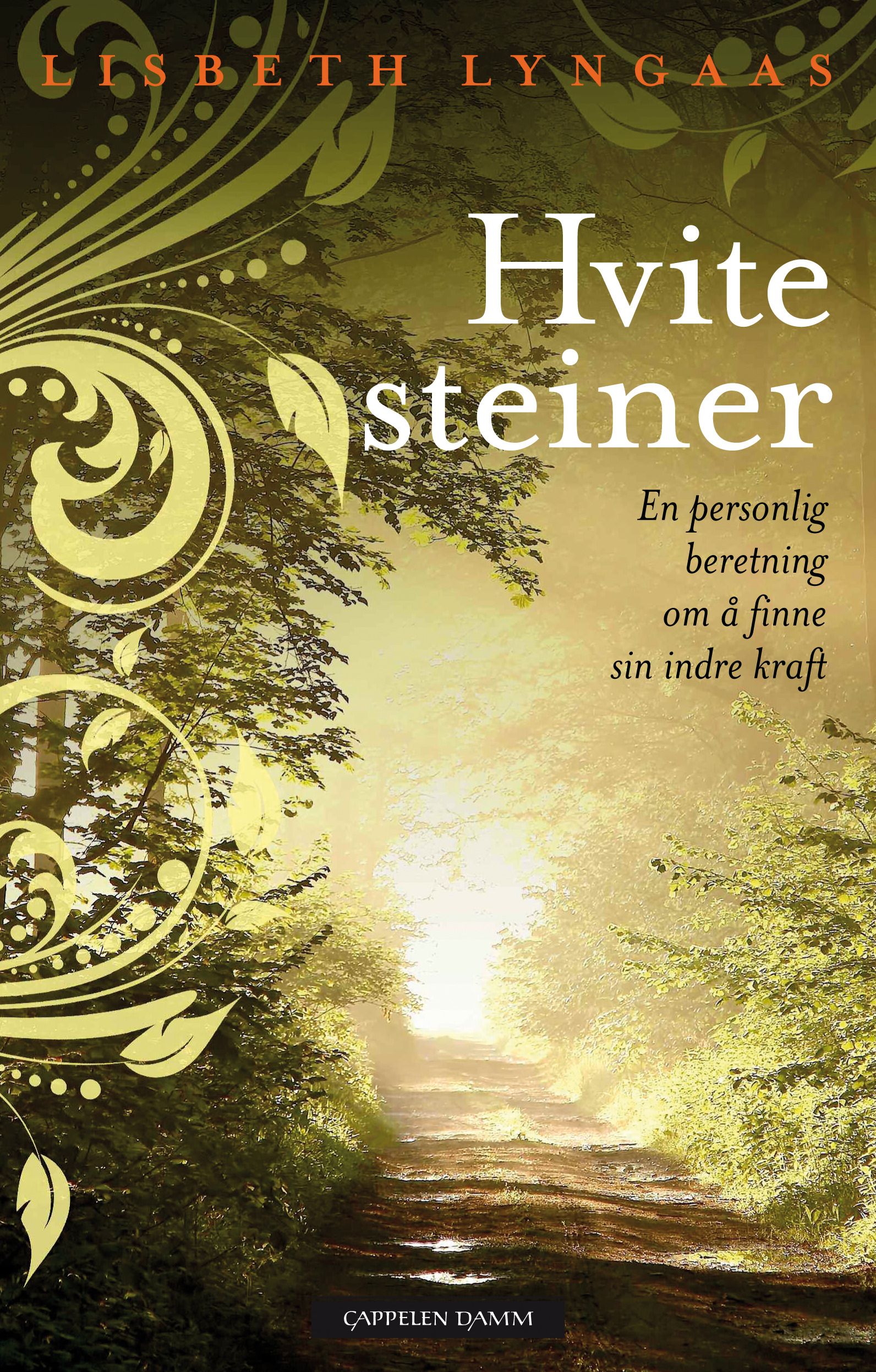 Hvite steiner - en personlig beretning om å finne sin indre kraft