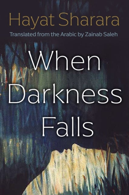When Darkness Falls av Hayat Sharara