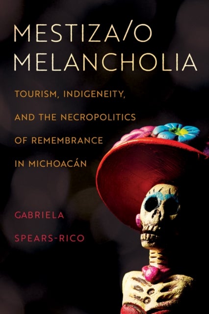 Mestiza/o Melancholia av Gabriela Spears-Rico