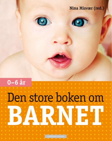 Den store boken om barnet - 0-6 år