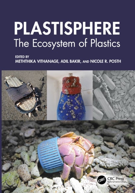 Plastisphere - The Ecosystem of Plastics