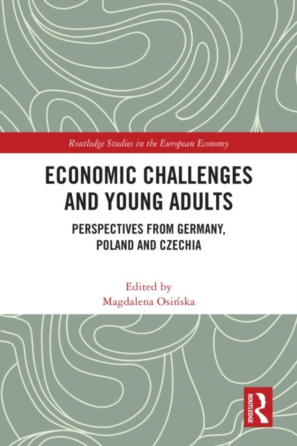 Economic Challenges and Young Adults
