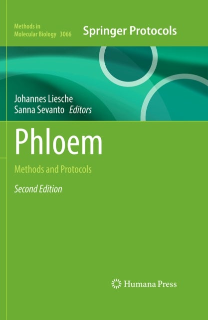 Phloem