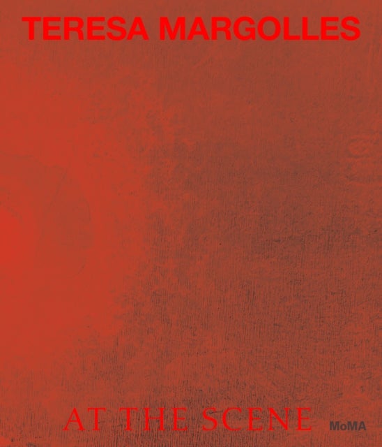 Teresa Margolles - At the Scene