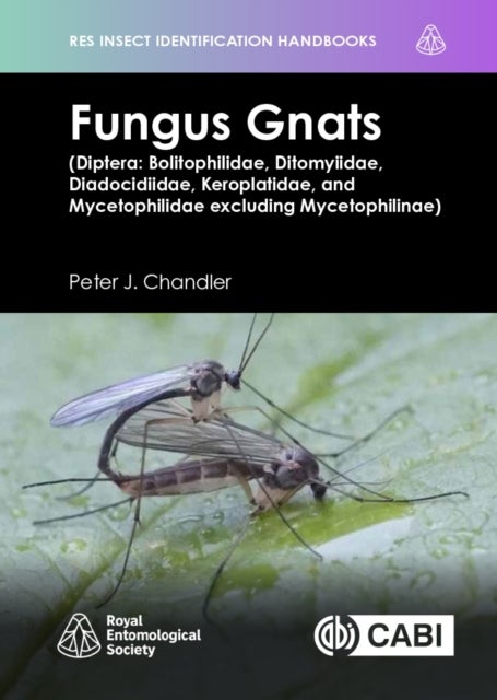 Fungus Gnats (Diptera: Bolitophilidae, Ditomyiidae, Diadocidiidae, Keroplatidae, and Mycetophilidae excluding Mycetophilinae) av Peter Chandler